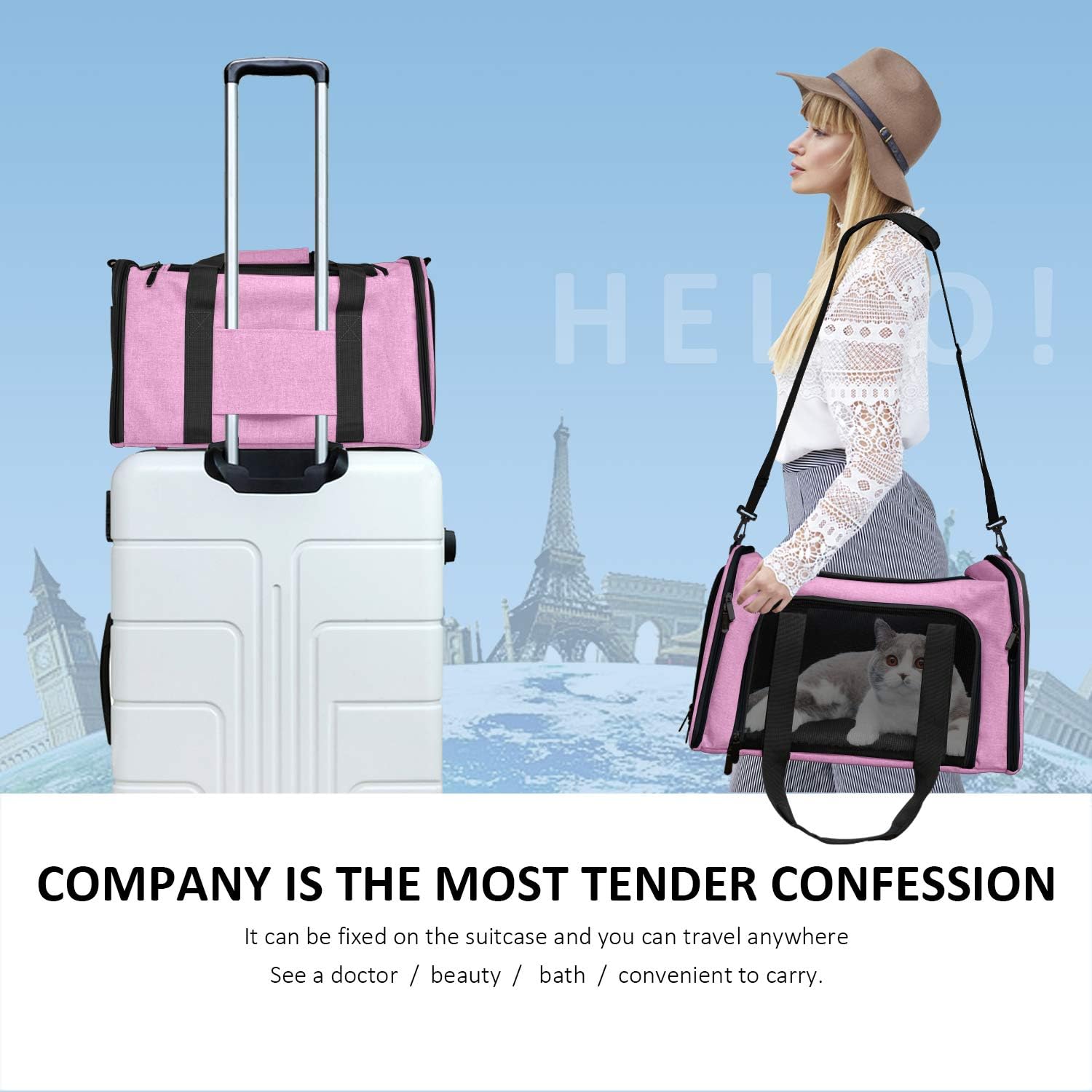 Large Soft Sided Cat and Pet Carrier for Cats