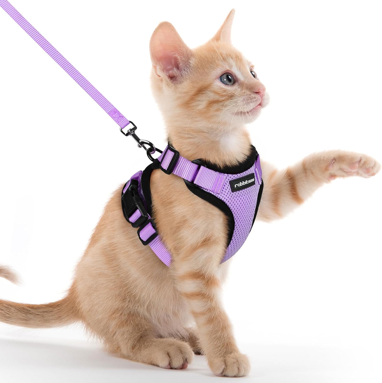 Cat Harness and Leash for Walking, Soft Adjustable Vest Harnesses