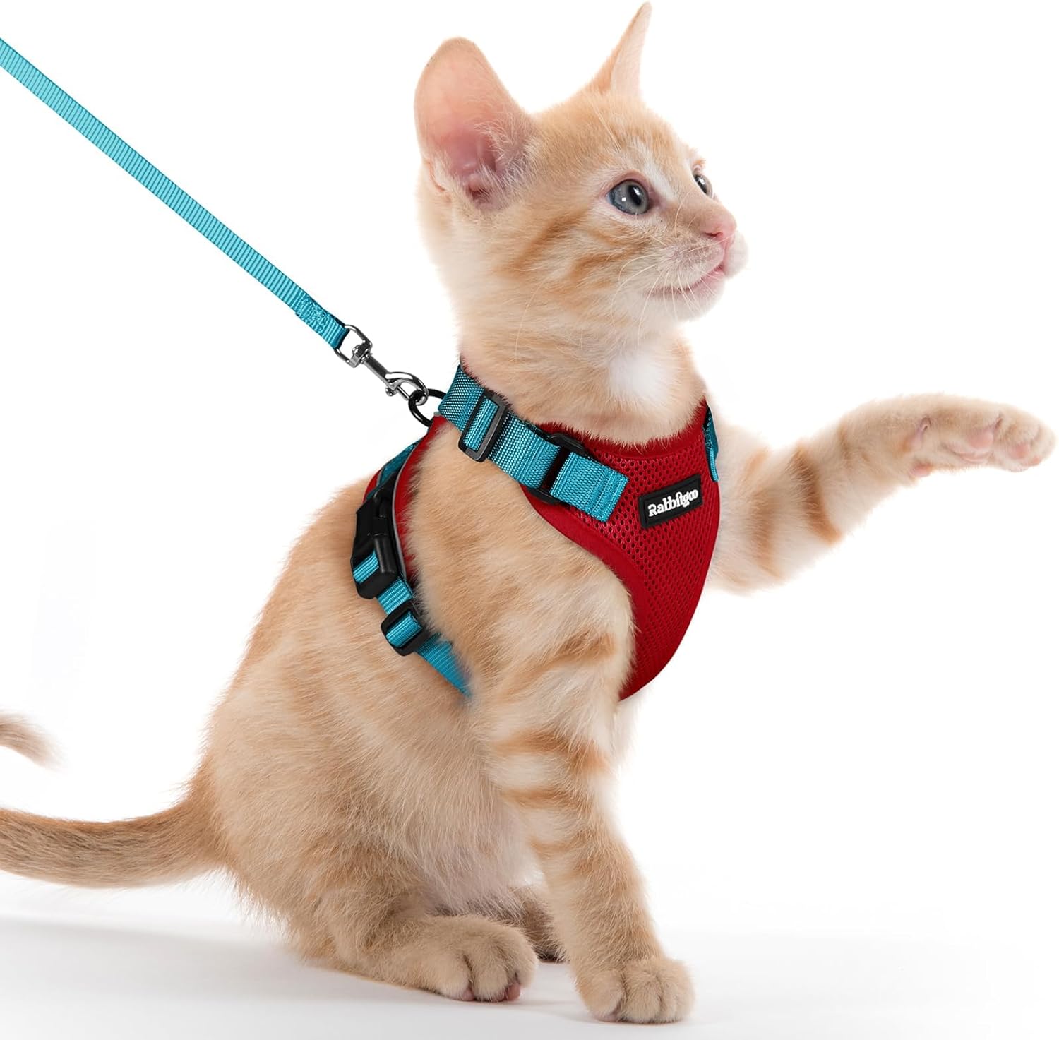 Cat Harness and Leash for Walking, Soft Adjustable Vest Harnesses