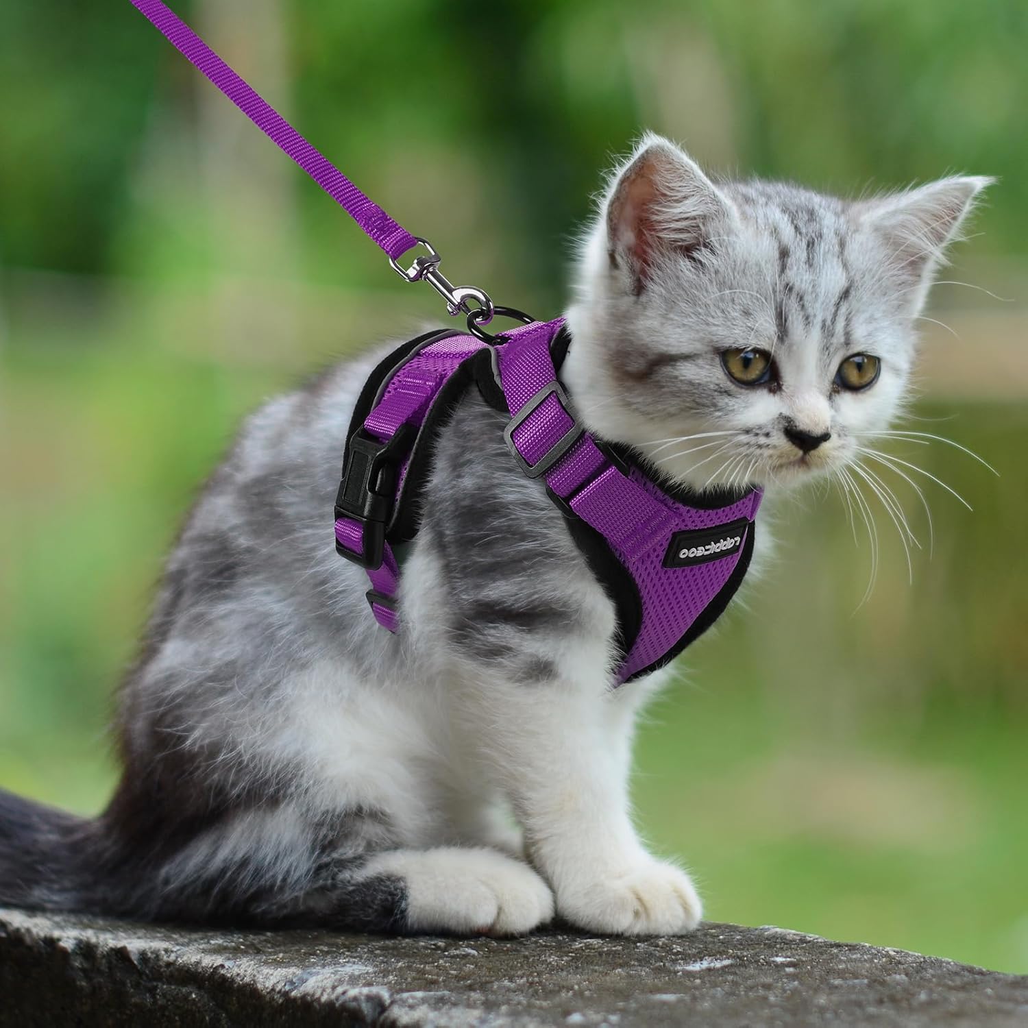 Cat Harness and Leash for Walking, Soft Adjustable Vest Harnesses