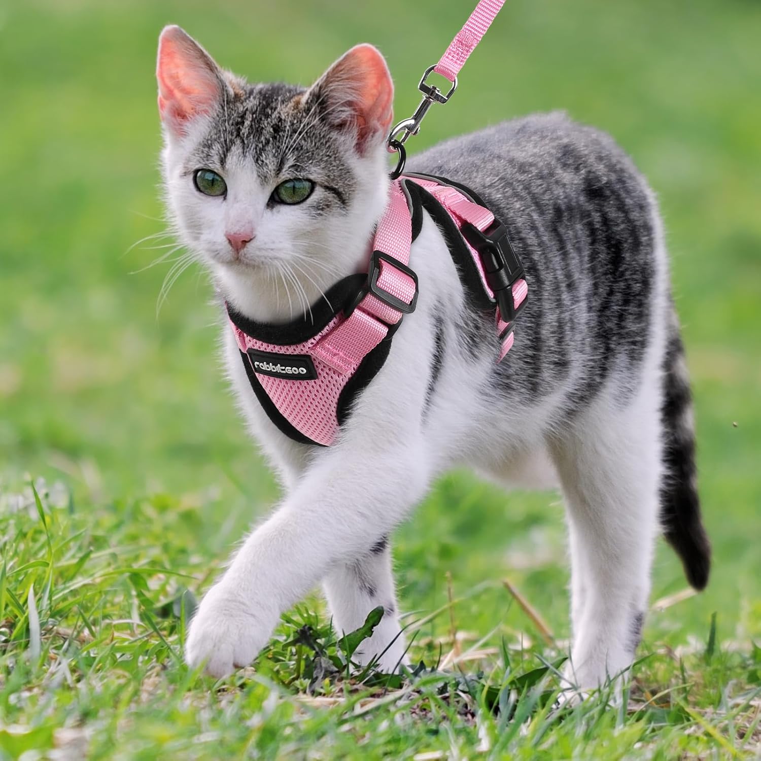 Cat Harness and Leash for Walking, Soft Adjustable Vest Harnesses