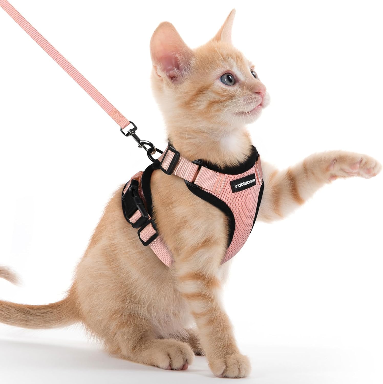 Cat Harness and Leash for Walking, Soft Adjustable Vest Harnesses