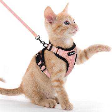 Cat Harness and Leash for Walking, Soft Adjustable Vest Harnesses