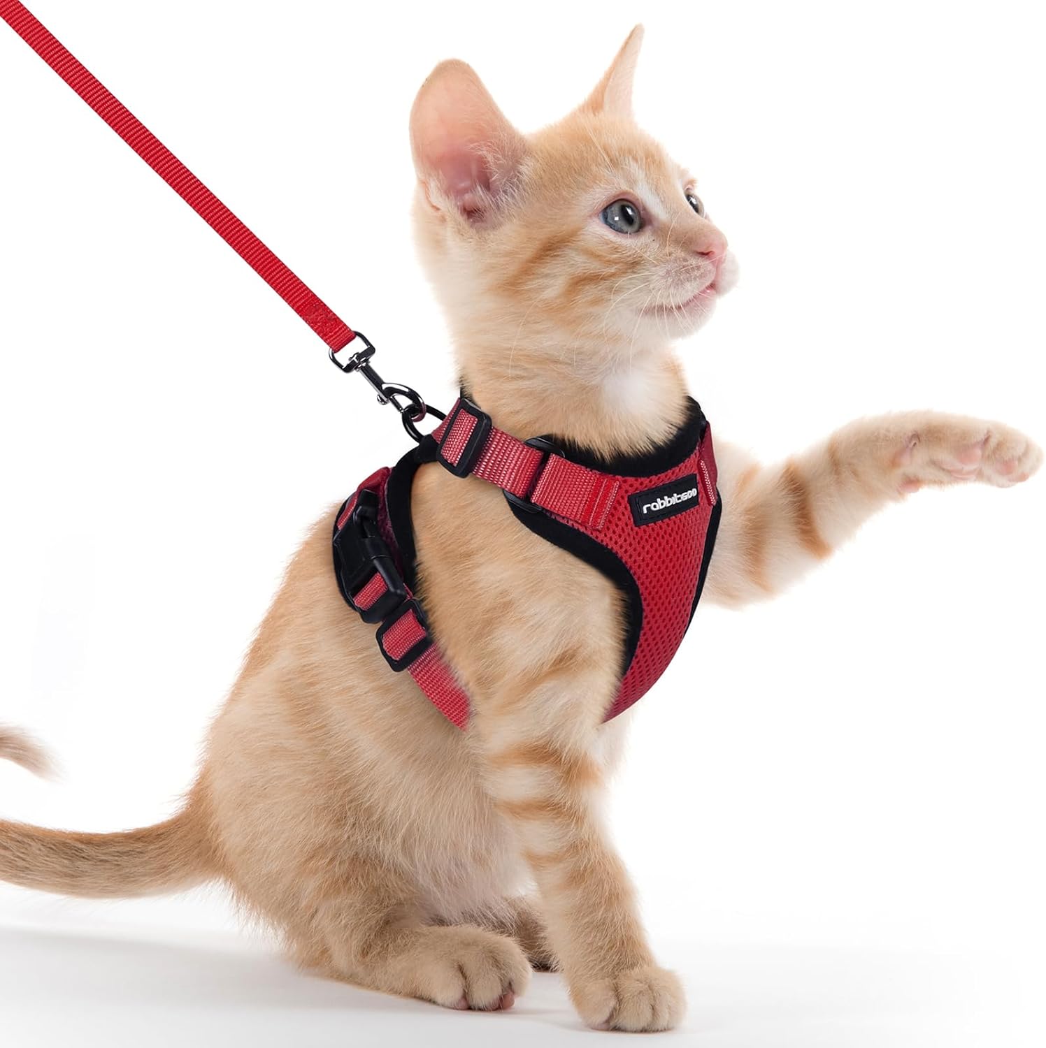 Cat Harness and Leash for Walking, Soft Adjustable Vest Harnesses