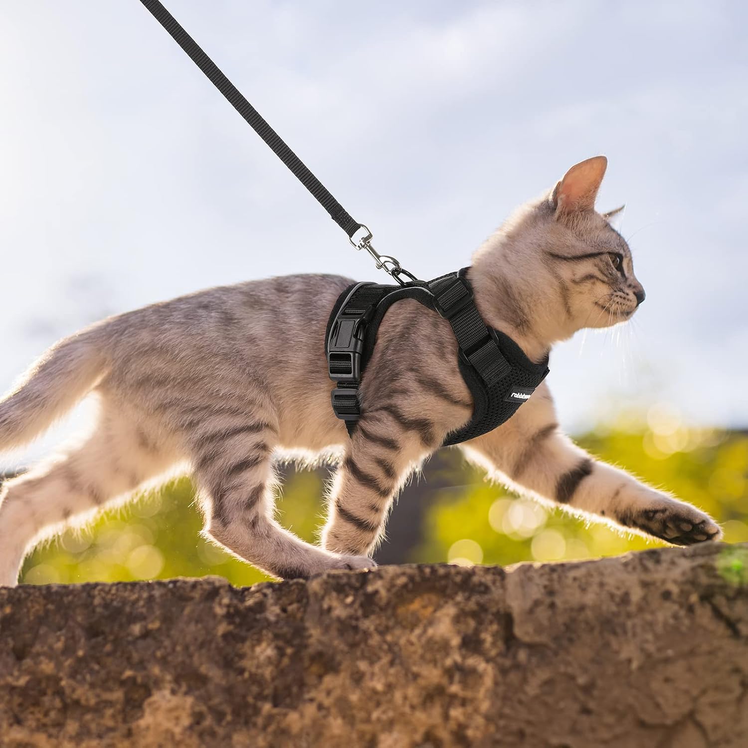 Cat Harness and Leash for Walking, Soft Adjustable Vest Harnesses