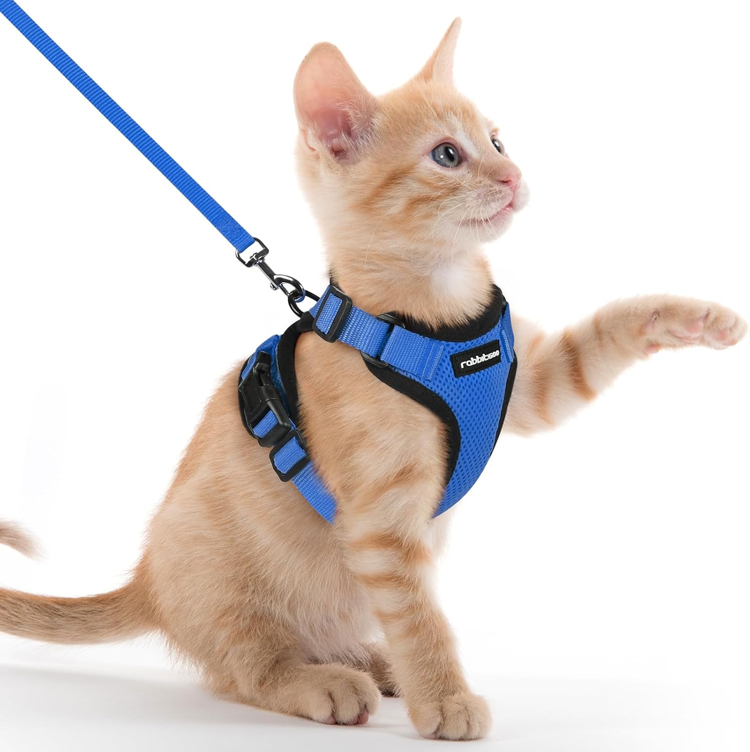 Cat Harness and Leash for Walking, Soft Adjustable Vest Harnesses