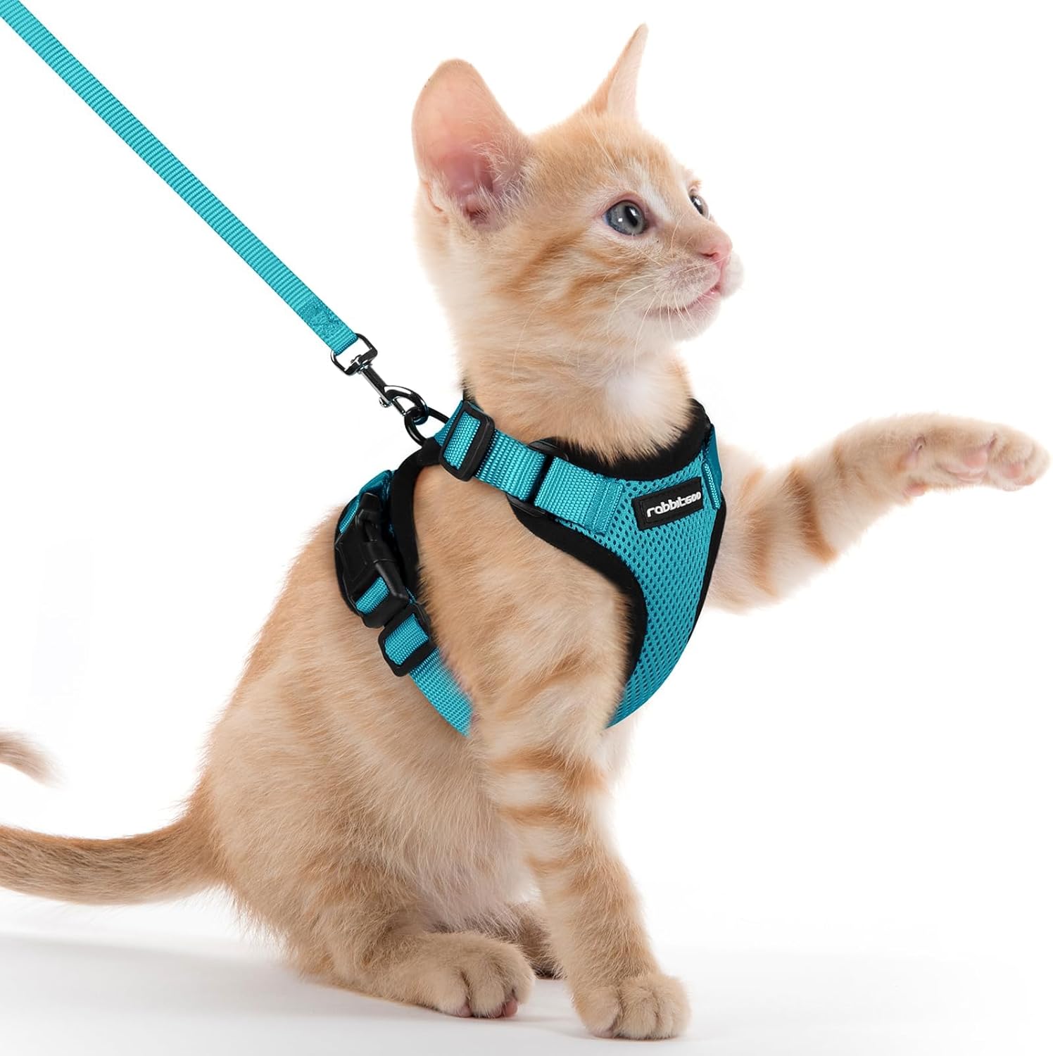 Cat Harness and Leash for Walking, Soft Adjustable Vest Harnesses