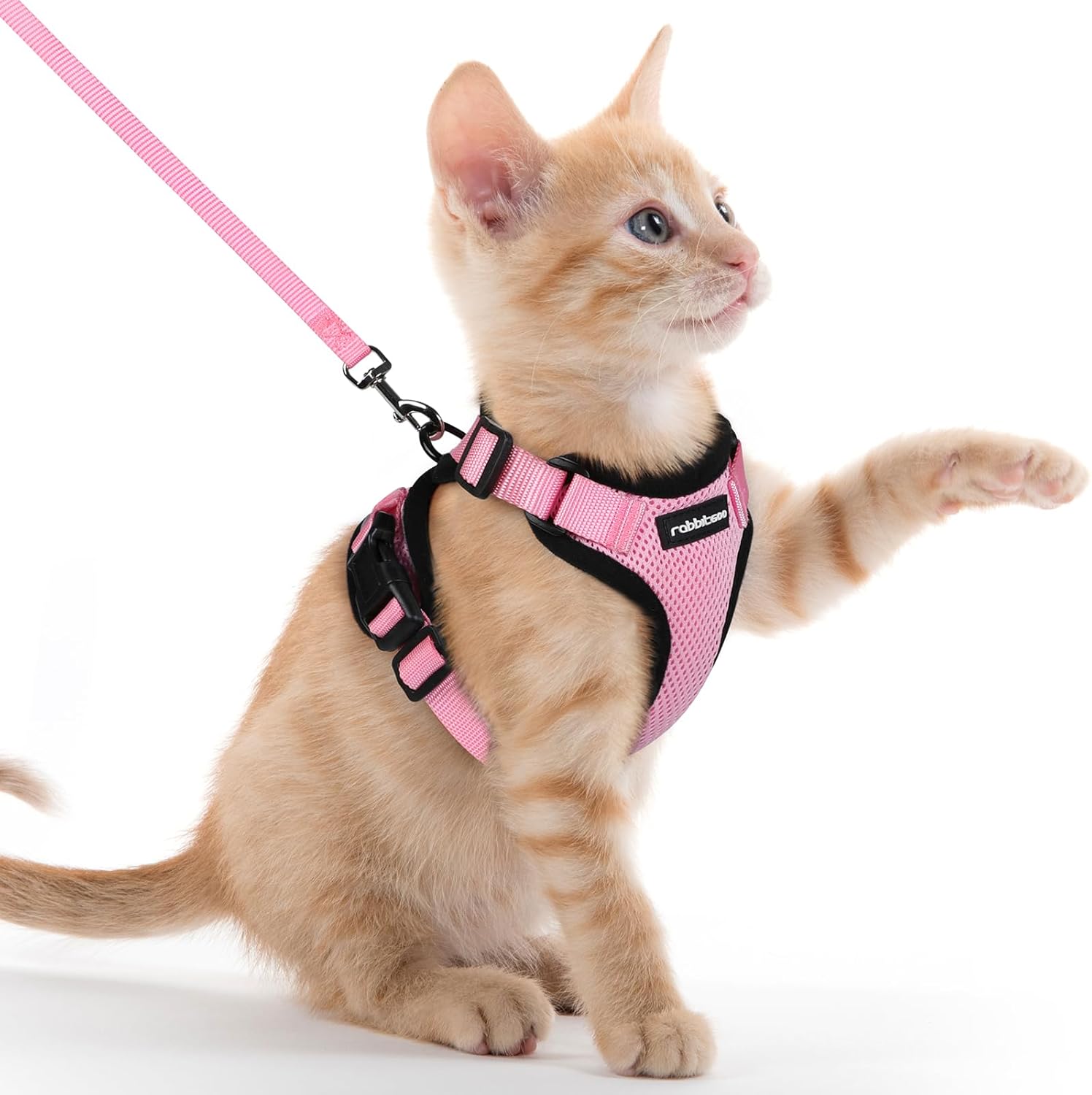 Cat Harness and Leash for Walking, Soft Adjustable Vest Harnesses