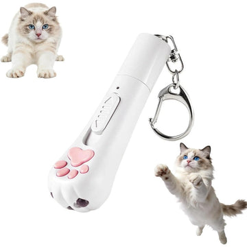 USB Rechargeable Cat Pointer