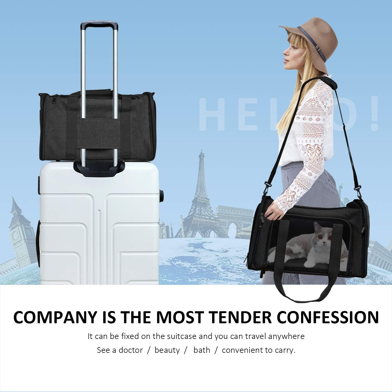 Large Soft Sided Cat and Pet Carrier for Cats