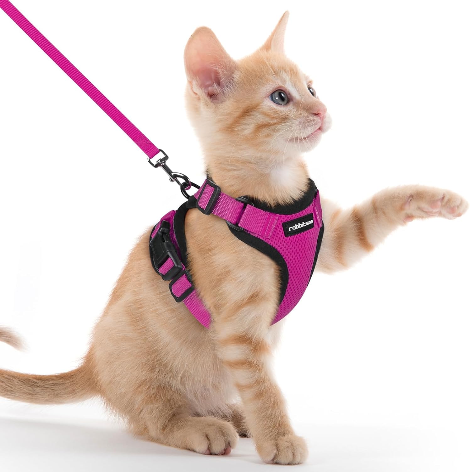 Cat Harness and Leash for Walking, Soft Adjustable Vest Harnesses