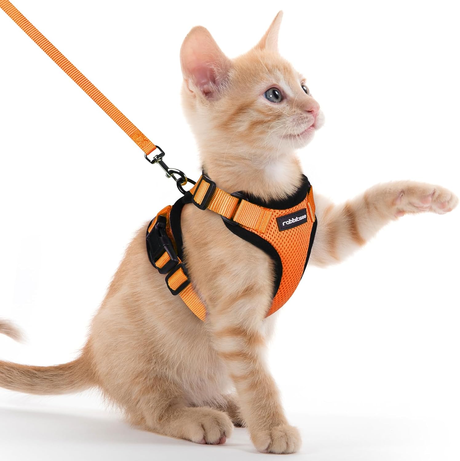 Cat Harness and Leash for Walking, Soft Adjustable Vest Harnesses