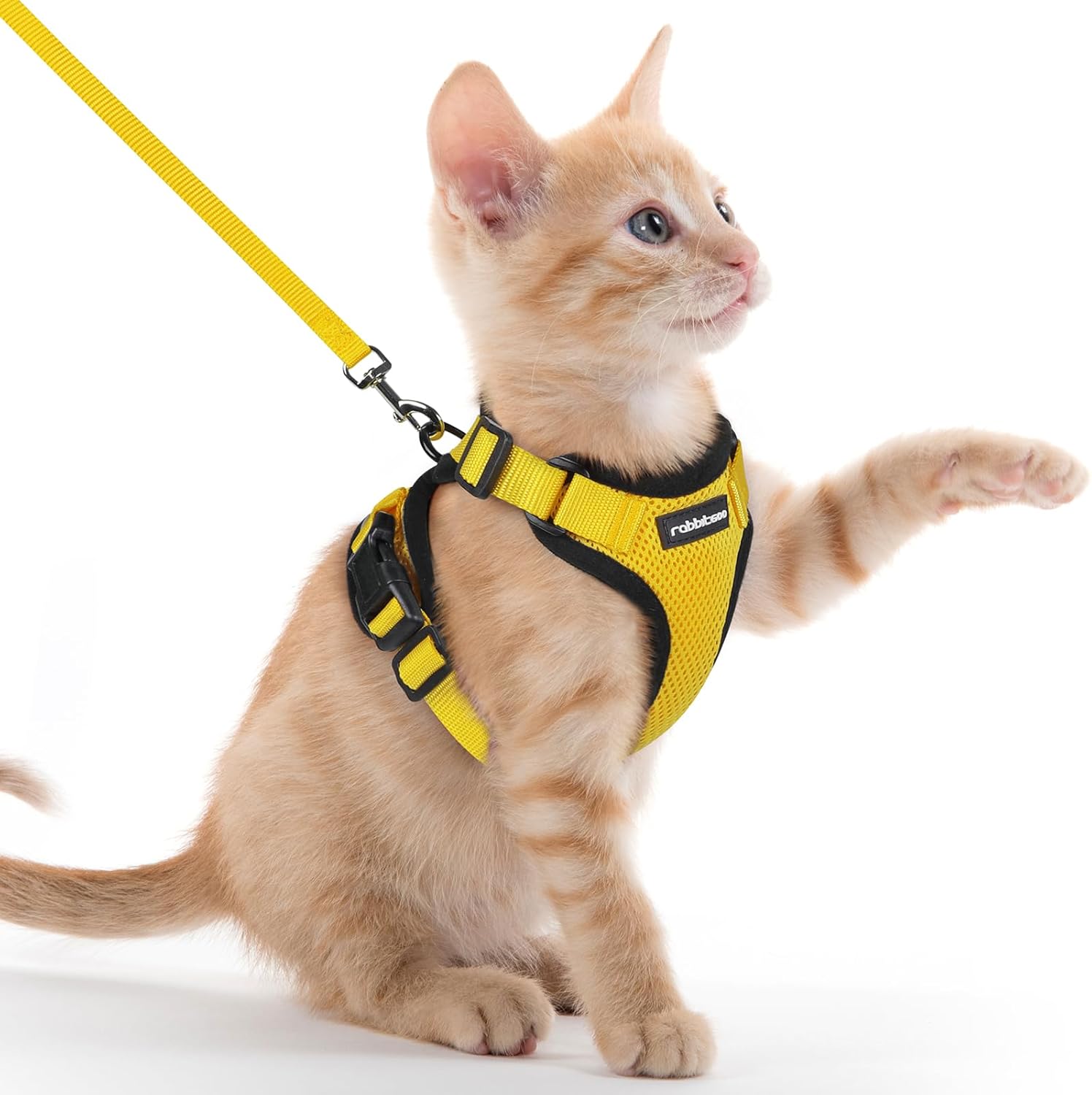 Cat Harness and Leash for Walking, Soft Adjustable Vest Harnesses