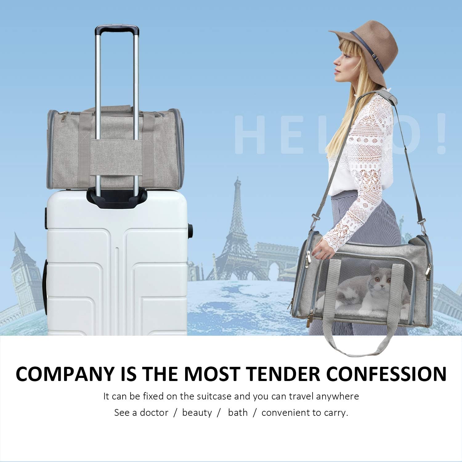 Large Soft Sided Cat and Pet Carrier for Cats