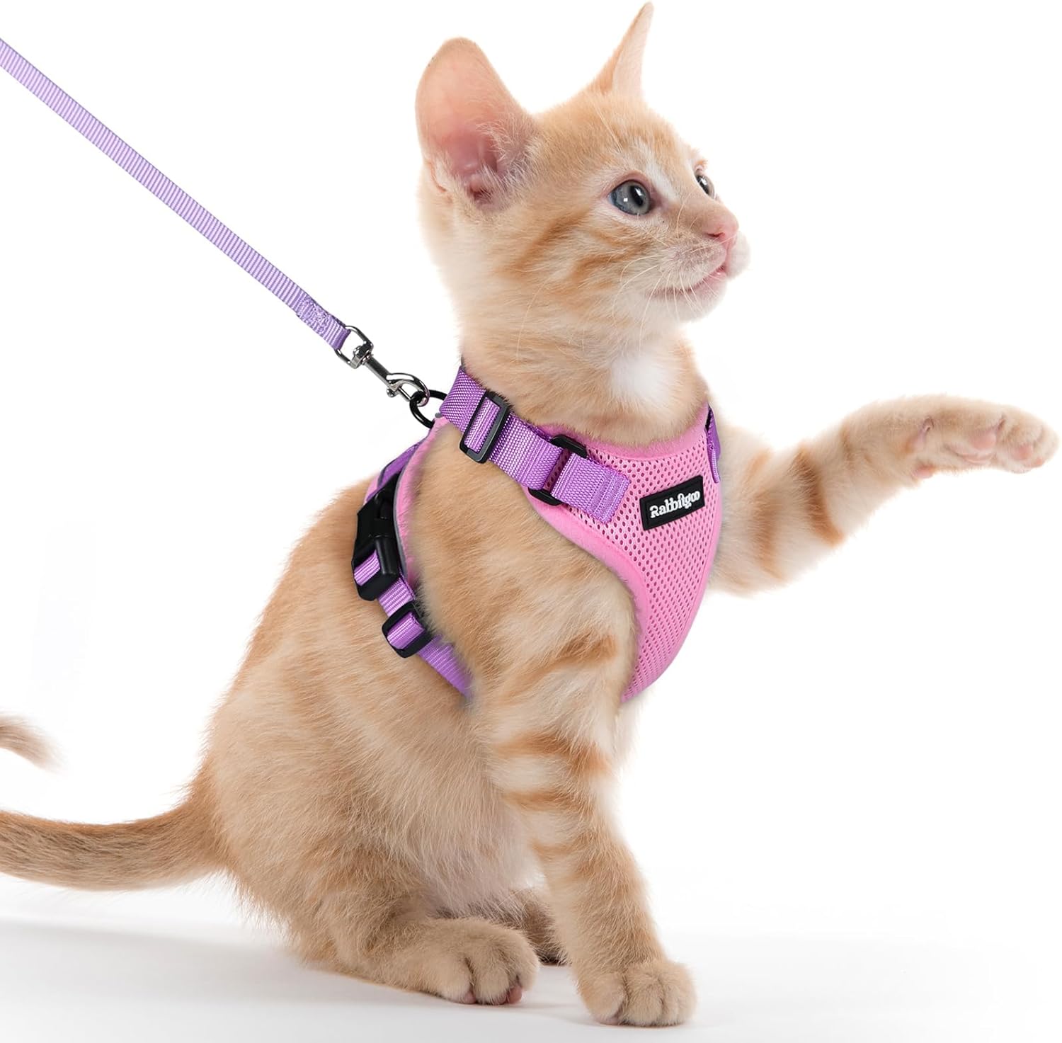 Cat Harness and Leash for Walking, Soft Adjustable Vest Harnesses