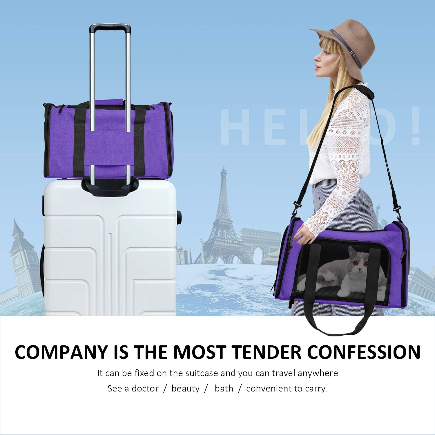 Large Soft Sided Cat and Pet Carrier for Cats