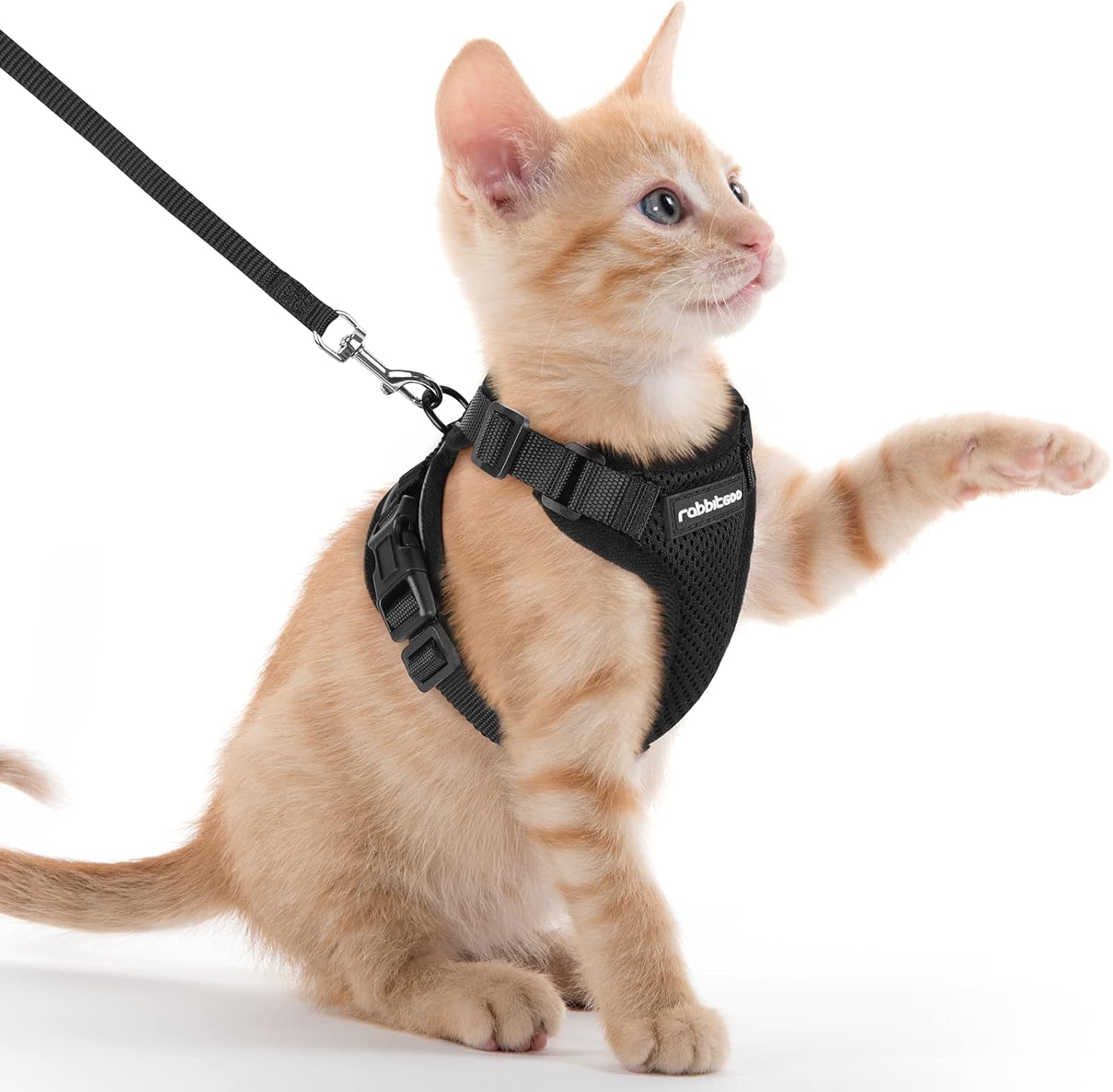 Cat Harness and Leash for Walking, Soft Adjustable Vest Harnesses