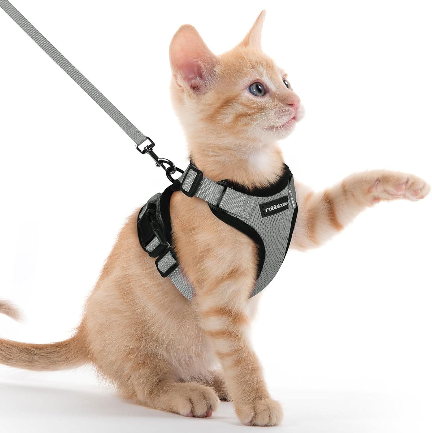 Cat Harness and Leash for Walking, Soft Adjustable Vest Harnesses