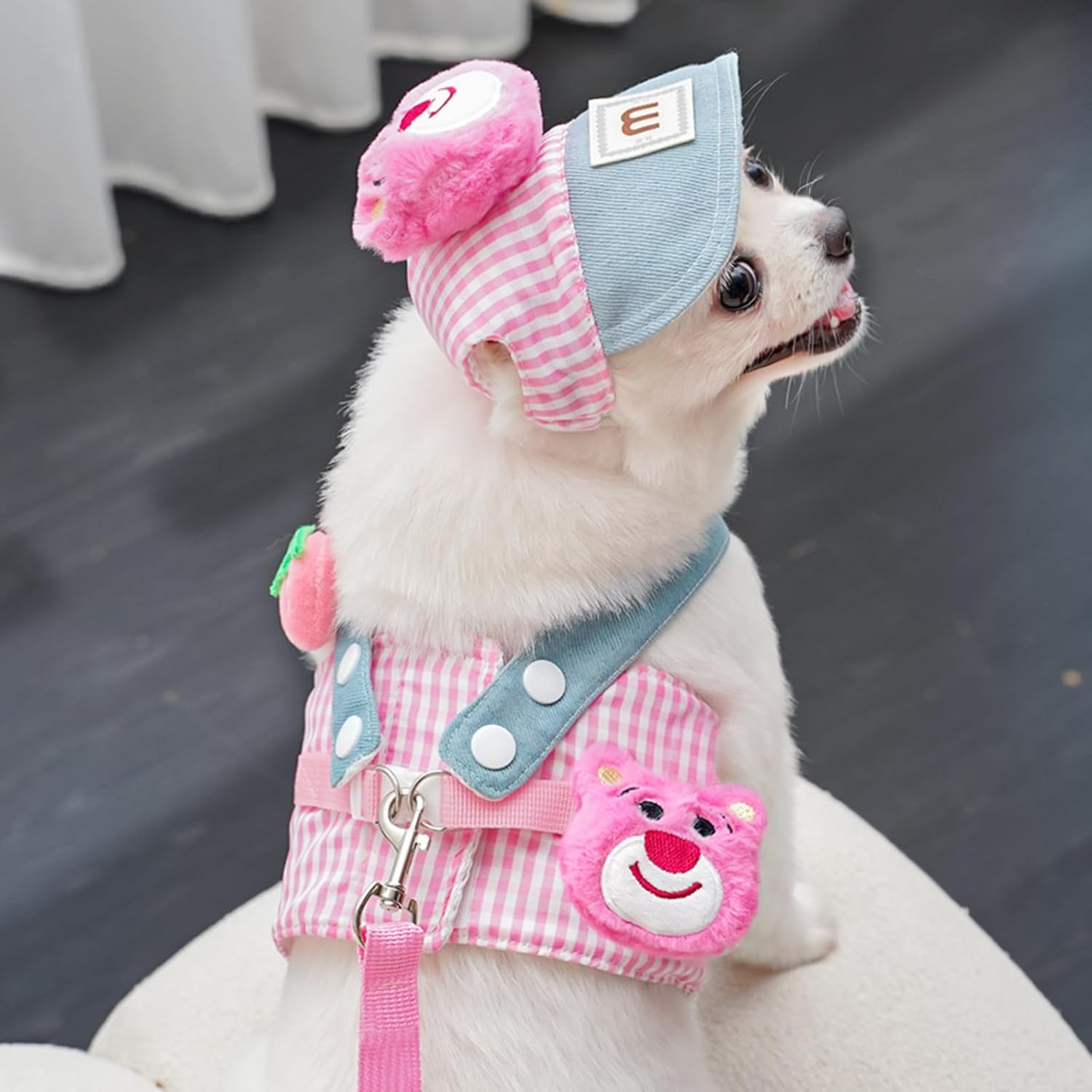 3-in-1 Pet Harness Set – Comfortable Adjustable Harness, Leash & Sun Hat