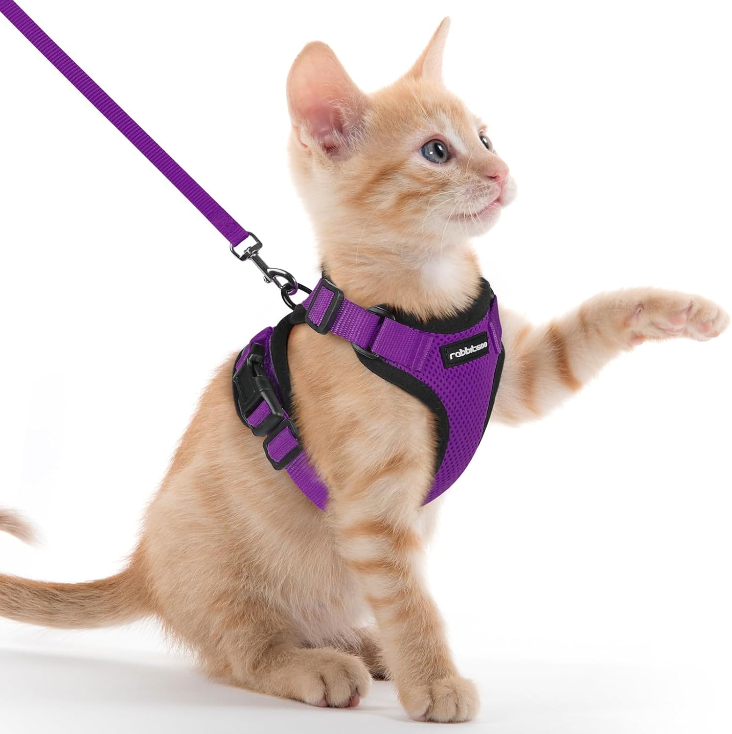 Cat Harness and Leash for Walking, Soft Adjustable Vest Harnesses