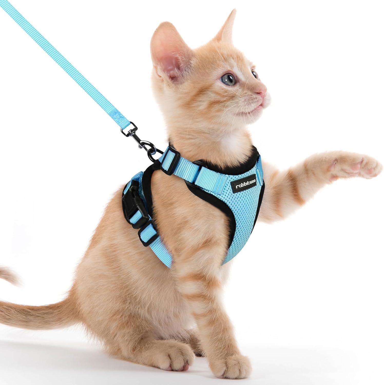 Cat Harness and Leash for Walking, Soft Adjustable Vest Harnesses
