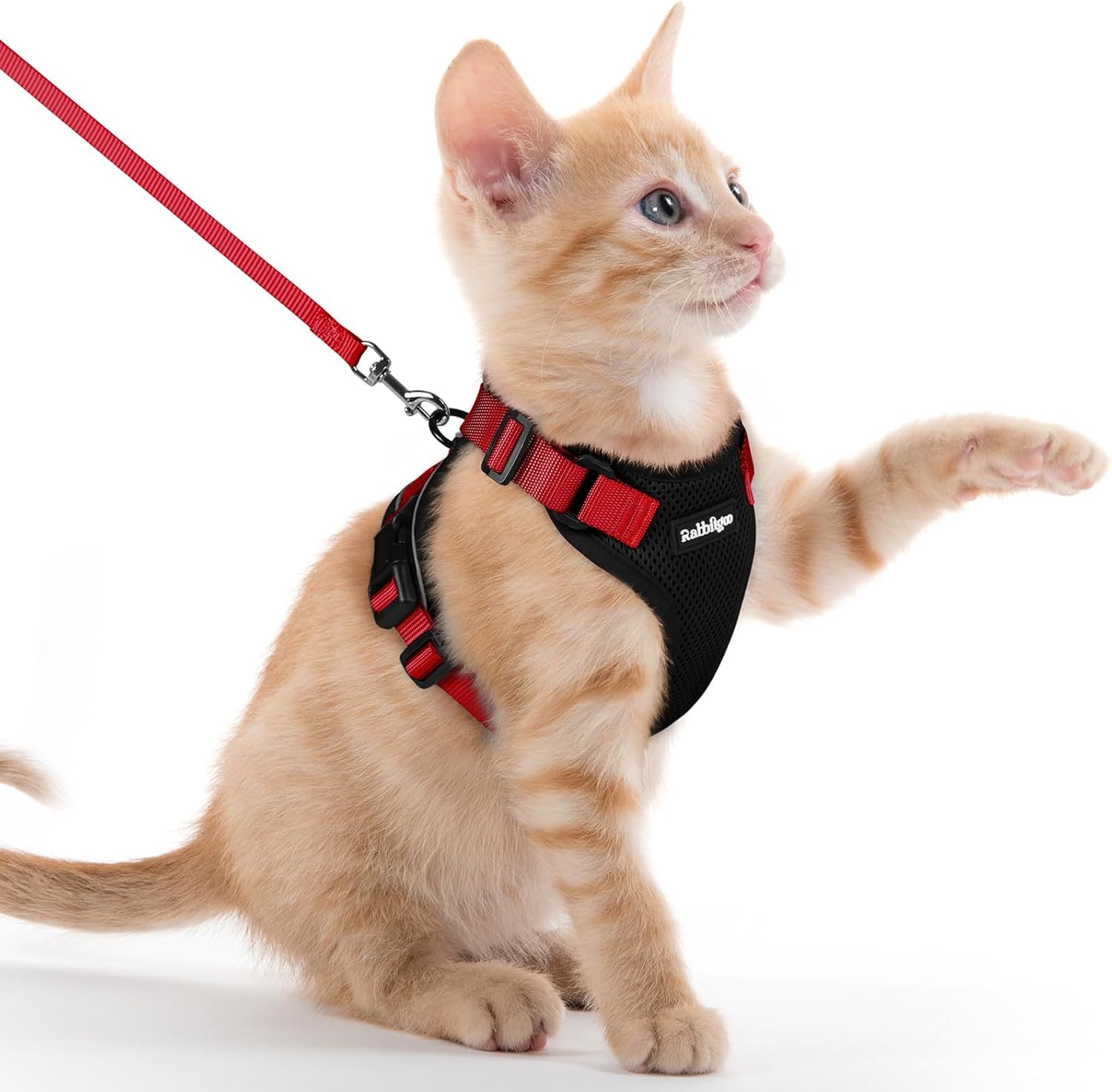 Cat Harness and Leash for Walking, Soft Adjustable Vest Harnesses
