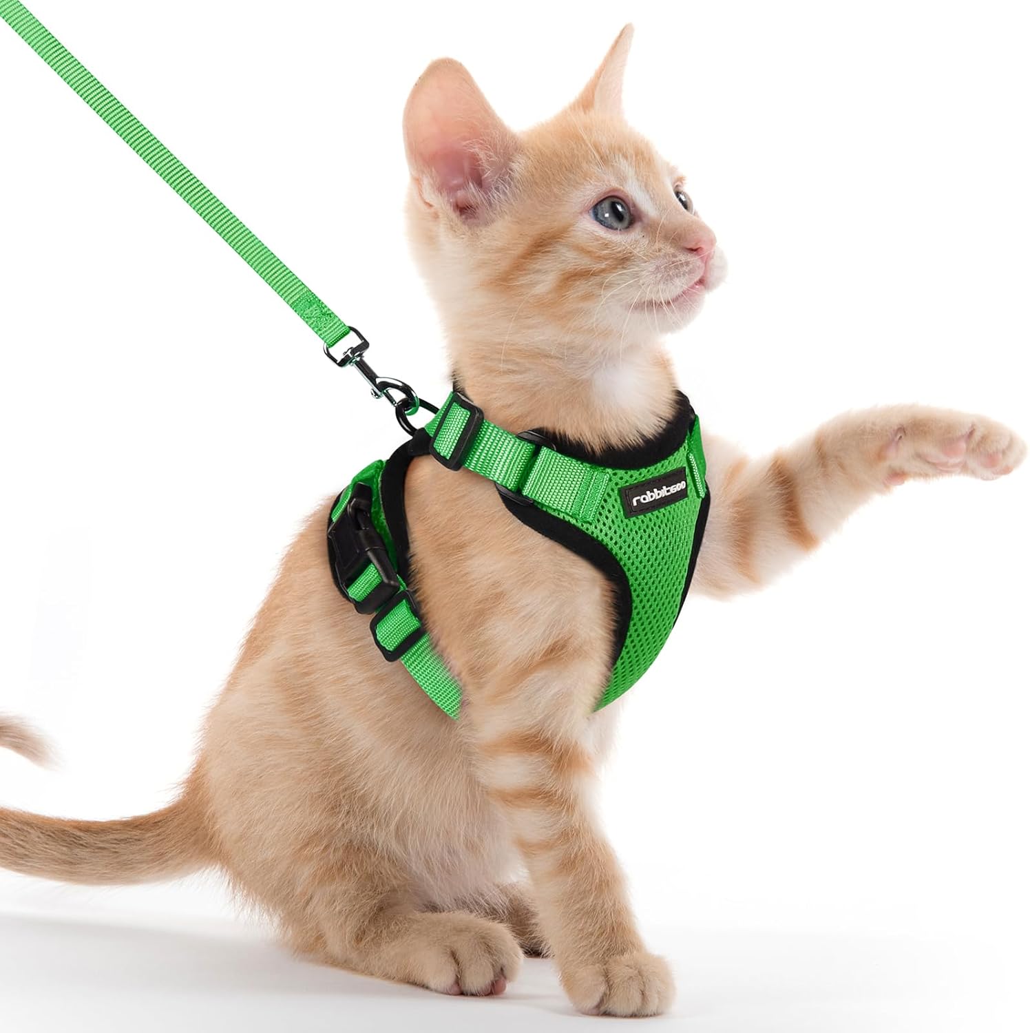 Cat Harness and Leash for Walking, Soft Adjustable Vest Harnesses