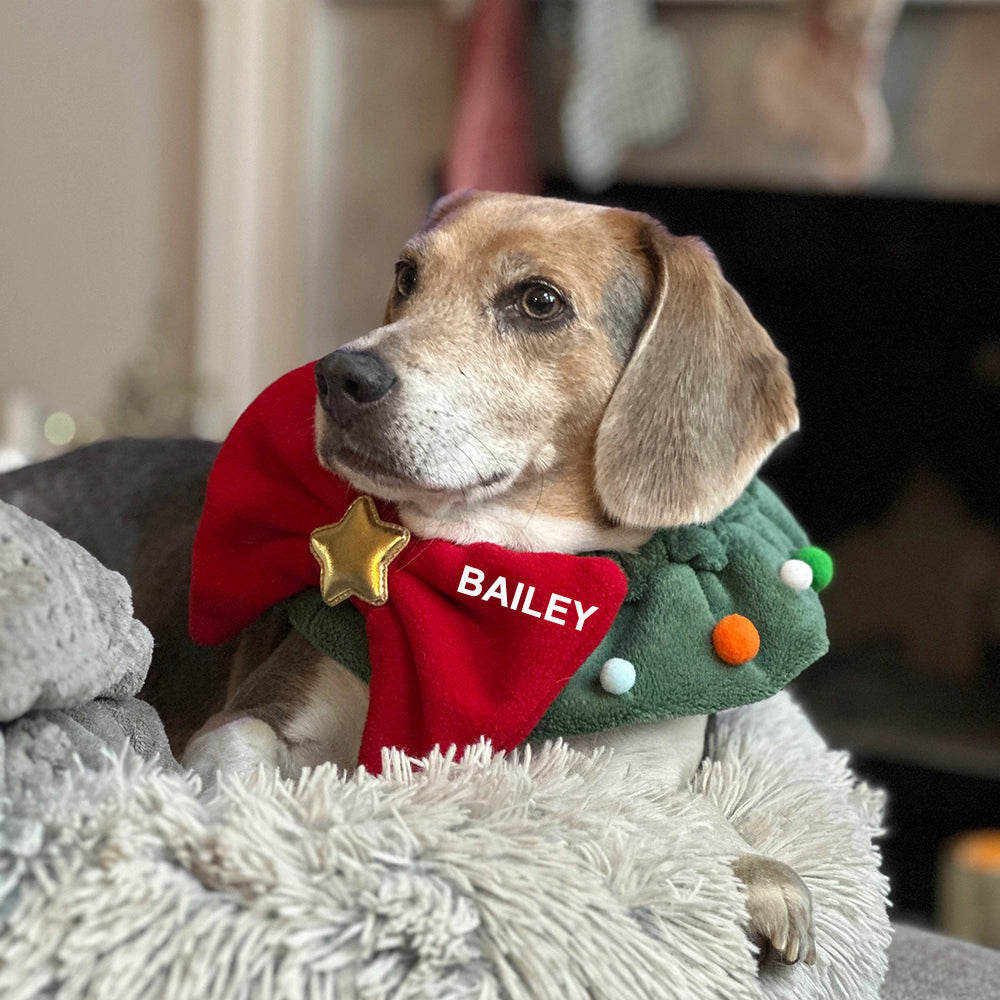 Personalized Funny Christmas Pet Bow Tie Scarf