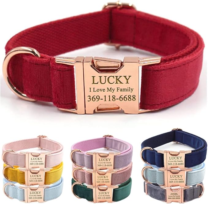 Custom Dog Collar Personalized