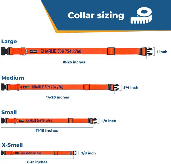 GoTags Nylon Personalized Dog Collar
