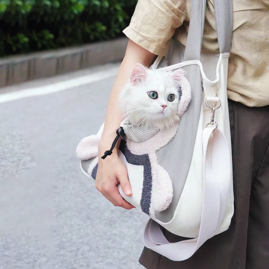 Cute Travel Carrier for Dogs & Cats (Pad + Strap Included)