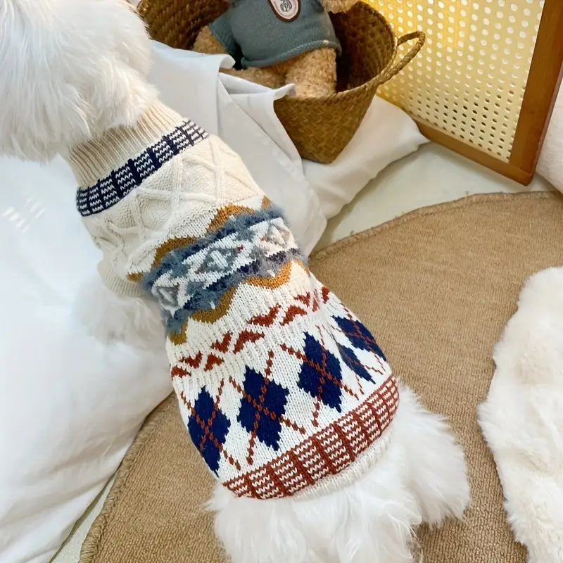 Cozy Campus Sweater