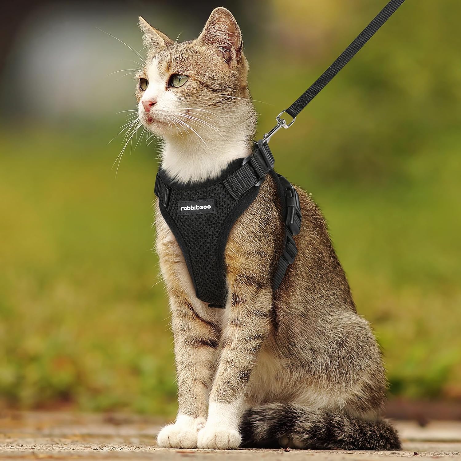 Cat Harness and Leash for Walking, Soft Adjustable Vest Harnesses