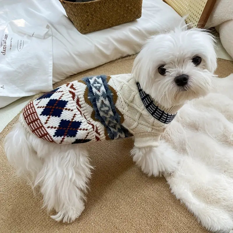 Cozy Campus Sweater