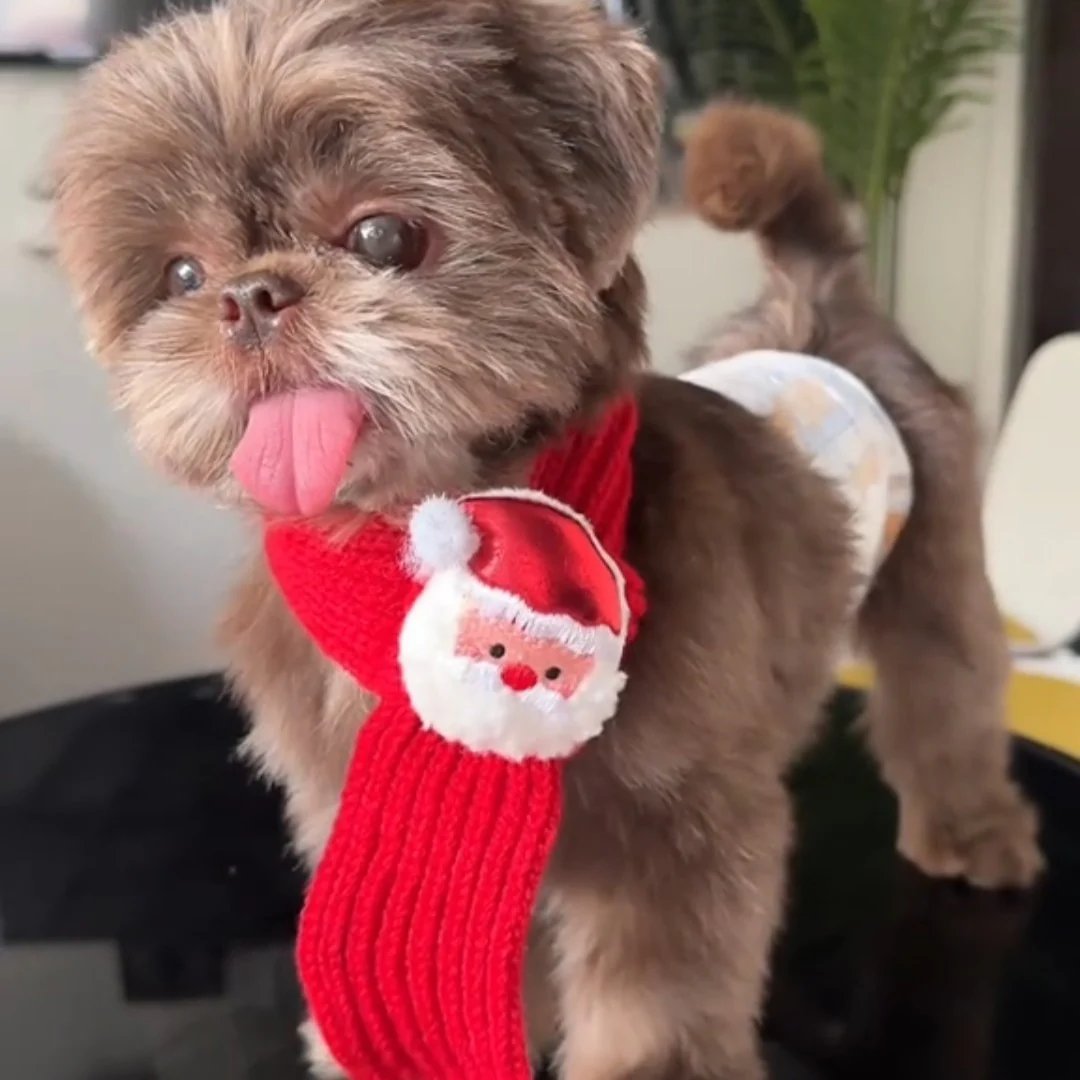 Festive Friends Pet Knit Scarf