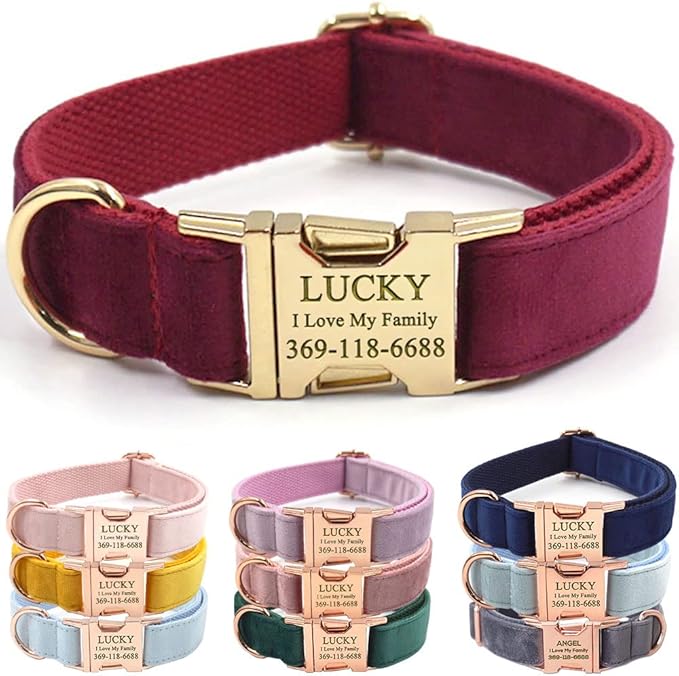 Custom Dog Collar Personalized