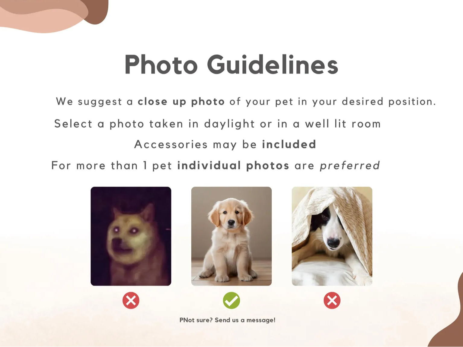 Custom Pet Photo Socks