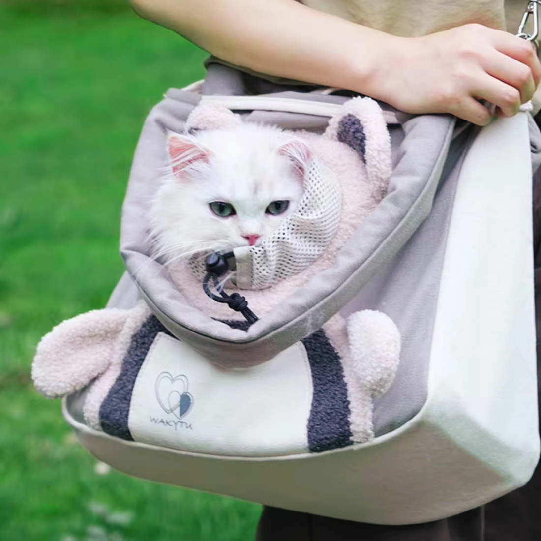 Cute Travel Carrier for Dogs & Cats (Pad + Strap Included)
