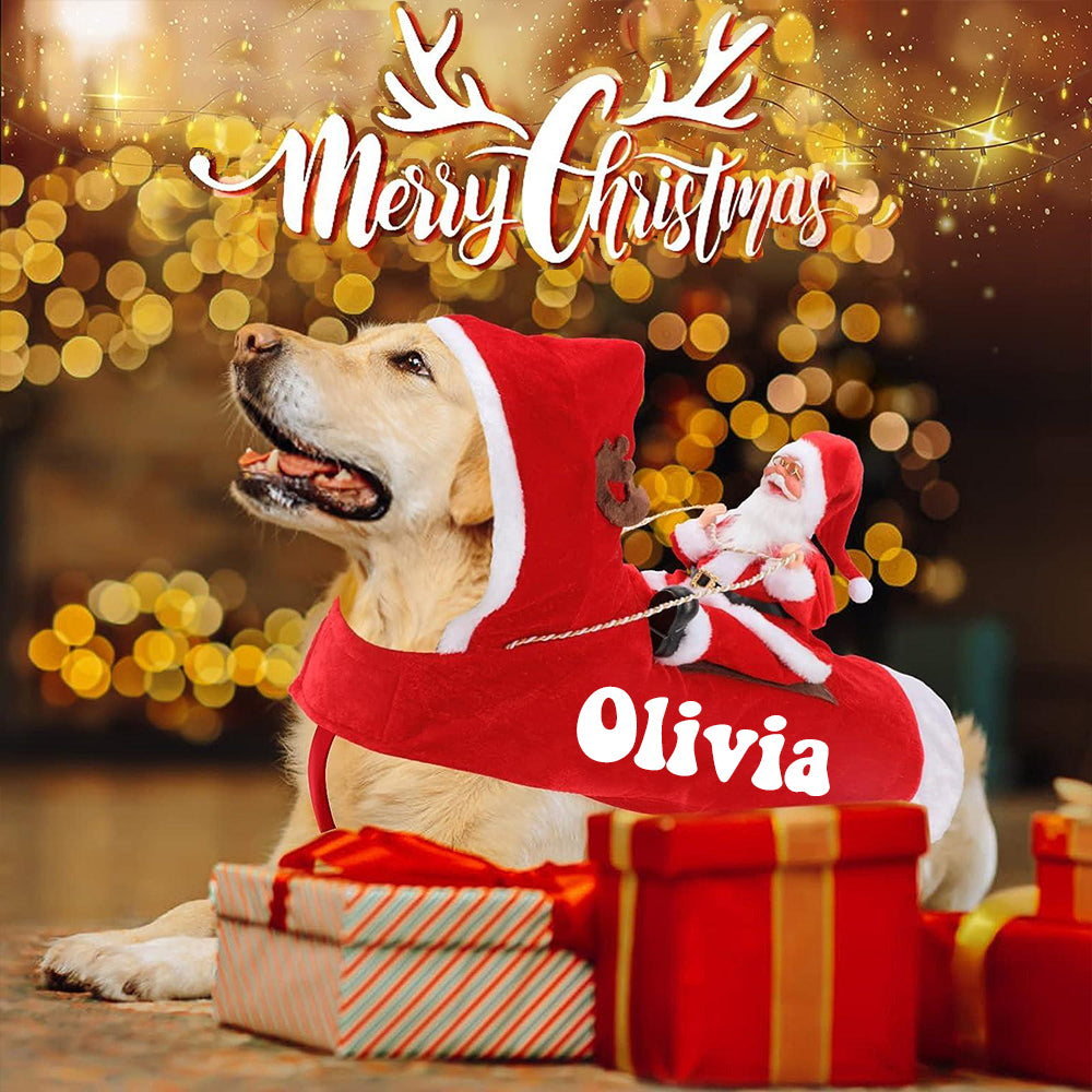 Personalized Christmas Santa Pet Riding Clothes