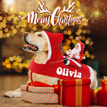 Personalized Christmas Santa Pet Riding Clothes