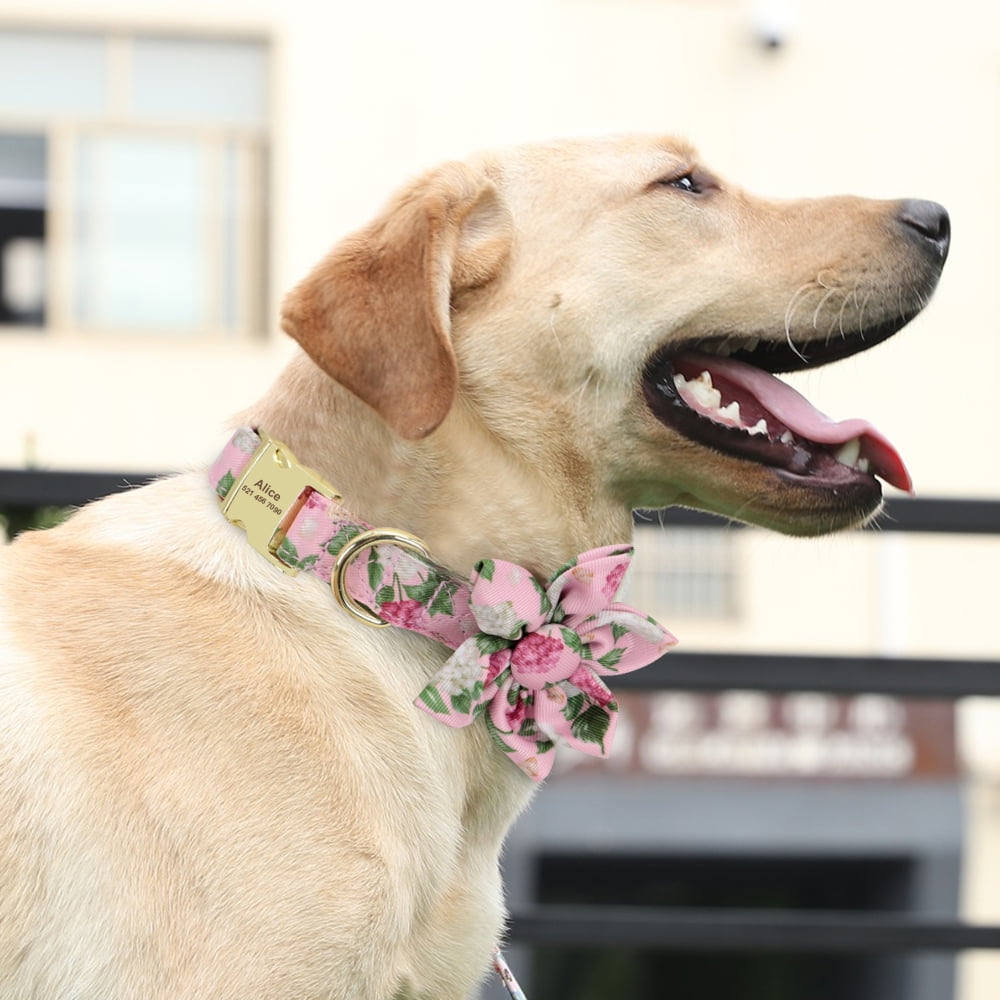 Personalized Puppy Collar – Adjustable Nylon Dog Collar with Free Name Engraving