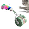 Interactive Pet Ball Toy