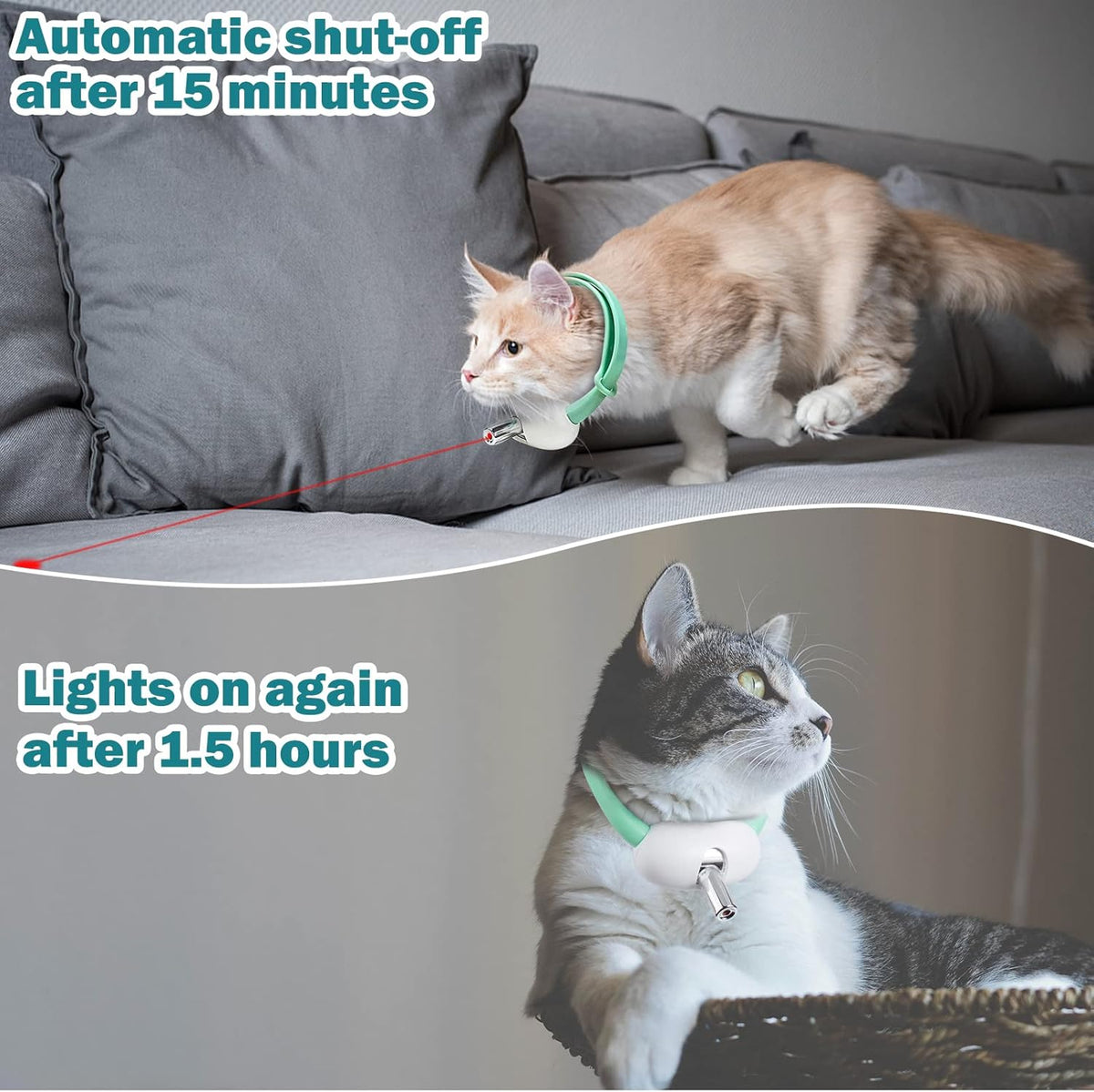 Laser Collars Automatic Cat Laser Collar – Joypolly