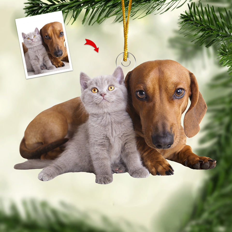 Custom Photo Pet Christmas Decor - Personalized Ornament