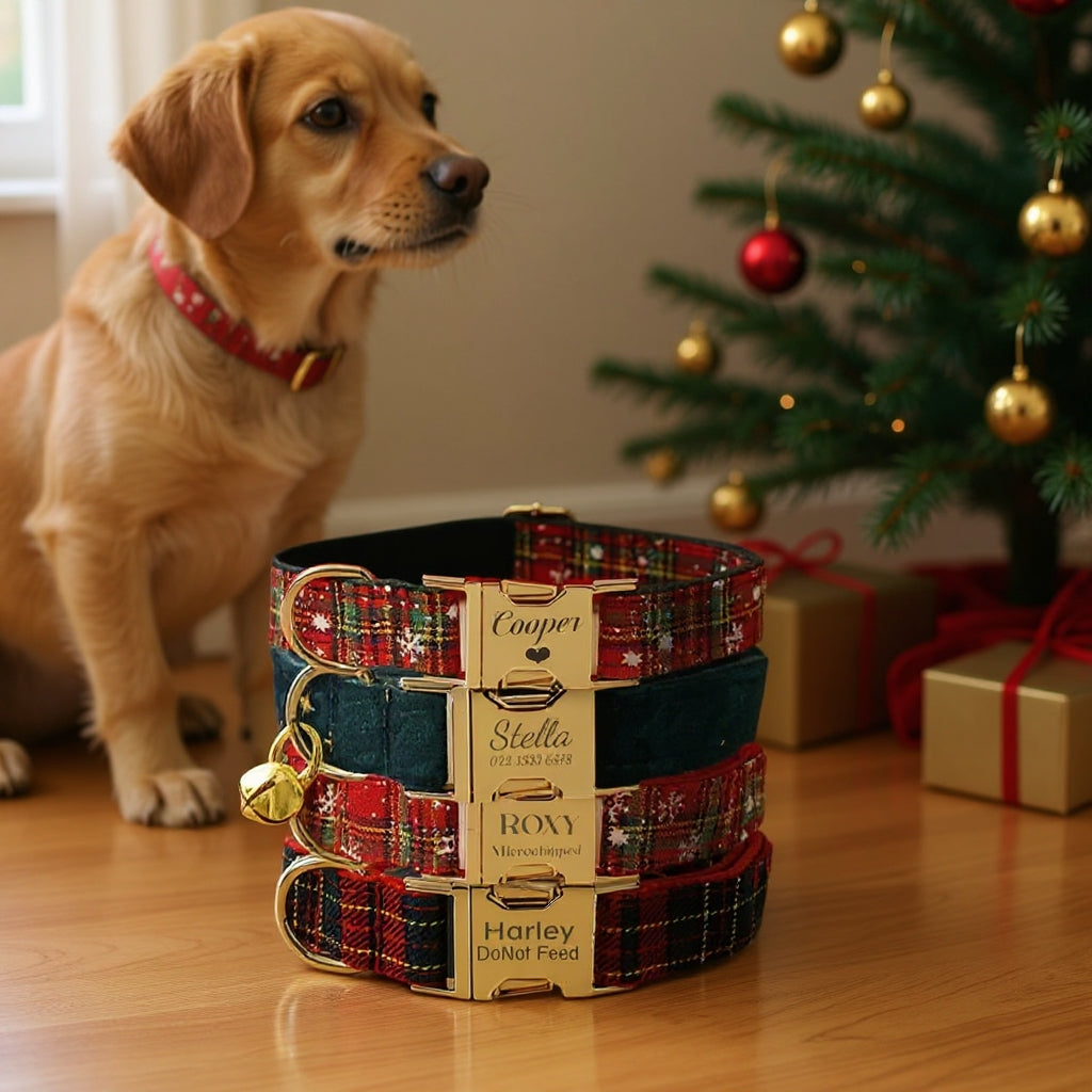 Personalize Dog Collar Leash Set with Bow Xmas Santa Collar for Puppies Engraved Pet Name