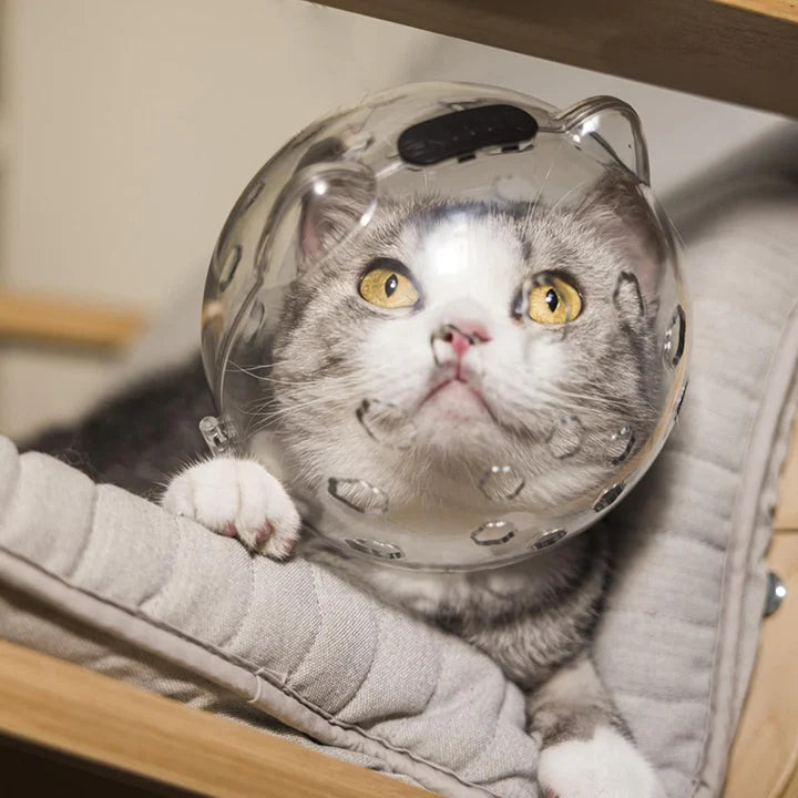 Cat Face Mask For Grooming Large