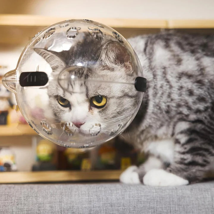 Cat Face Mask For Grooming Large