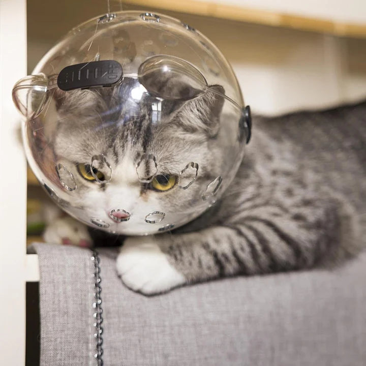 Cat Face Mask For Grooming Large