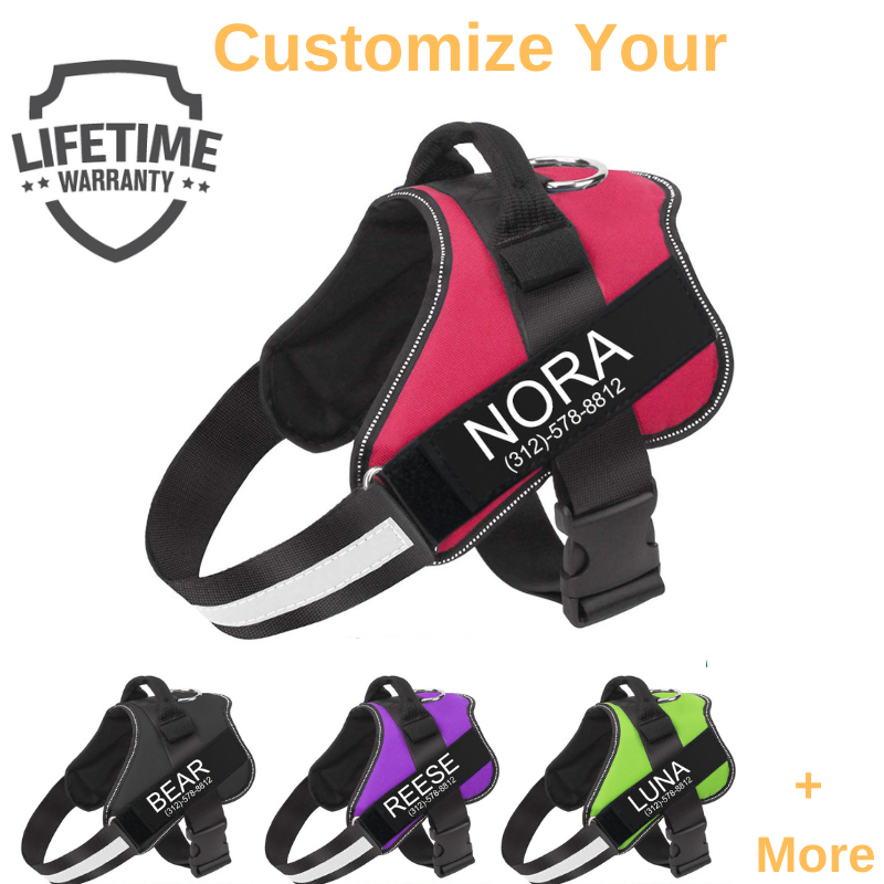 Personalized No Pull Dog Harness