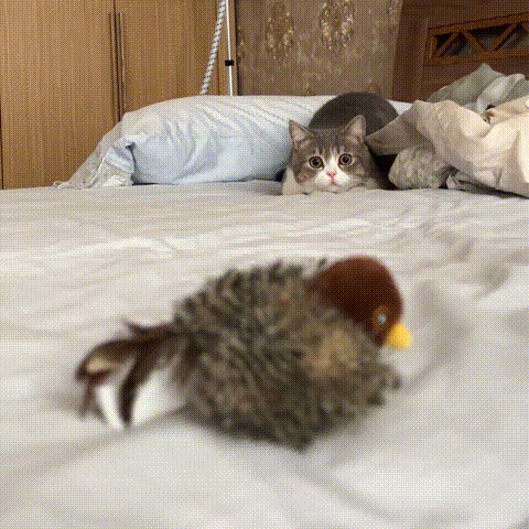 Interactive Chirping Bird Cat Toy